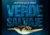 “Verde Salvaje”: La aventura tortuguera se aproxima a nuestras salas de cine “Verde Salvaje”: La aventura tortuguera se aproxima a nuestras salas de cine