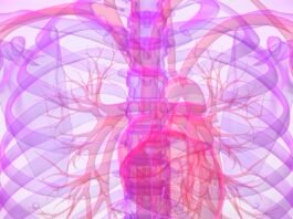 Descubriendo la técnica instrumental: La Respiración