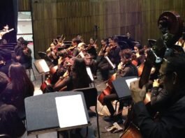 Orquesta Sinfónica de Falcón presenta el Ballet Pájaro de Fuego